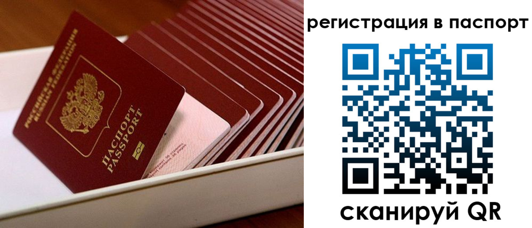 форма 3 в Омской области